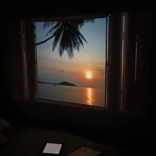 Whisker™ 4k Projector