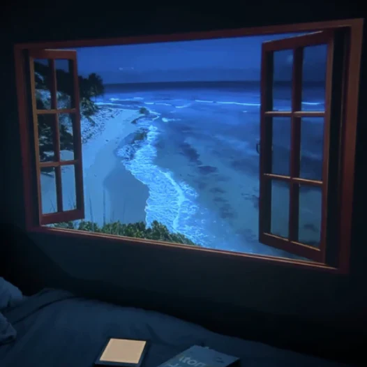 Whisker™ 4k Projector