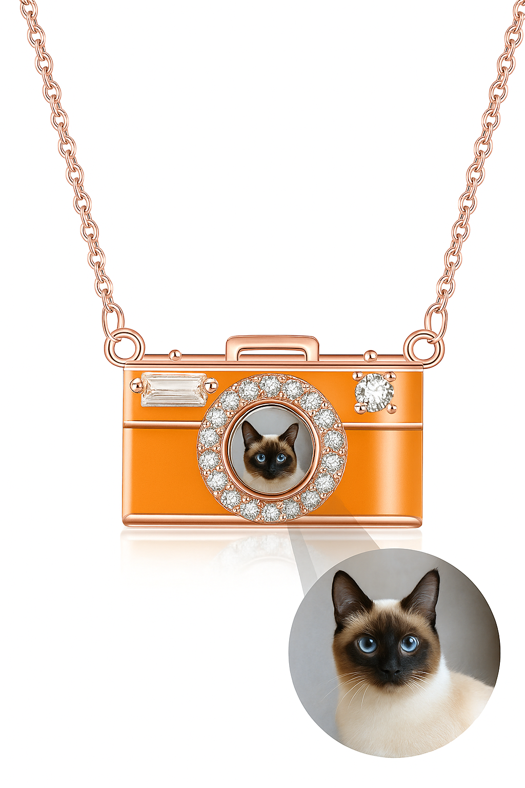 Whisker™ Photo Projection Camera